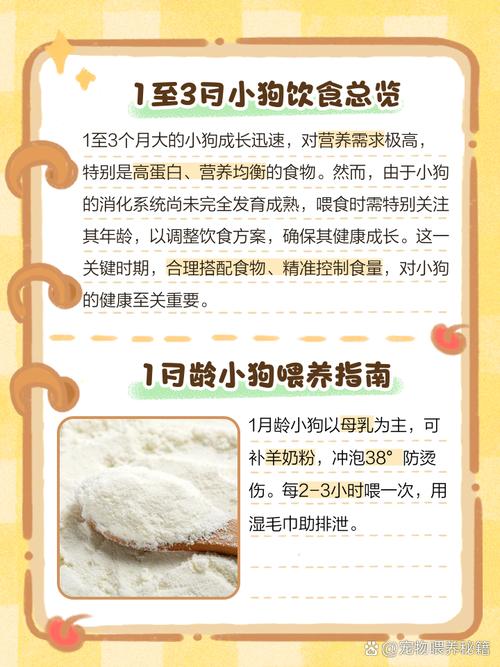 几个月的小狗吃什么