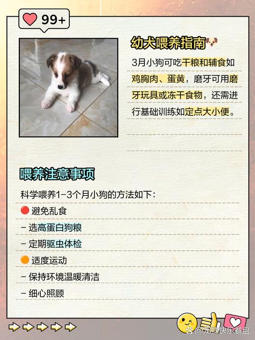 三个月大的狗狗吃什么好?