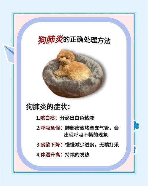 狗狗肺部感染一直喘怎么缓解