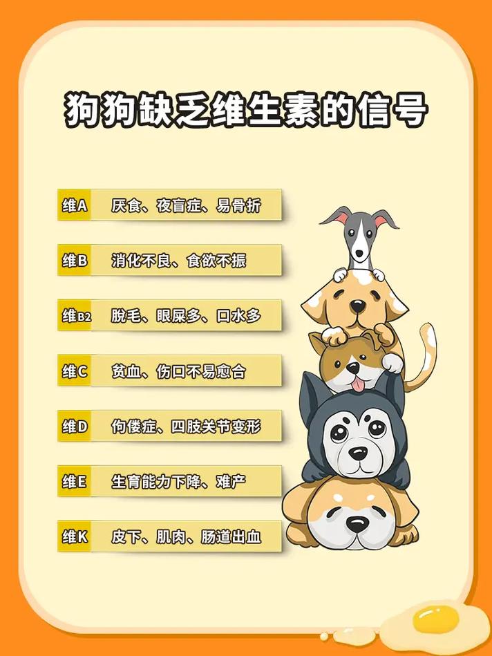 狗狗缺维生素的表现?