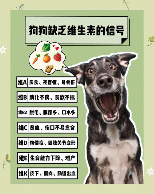 狗狗缺乏维生素的症状