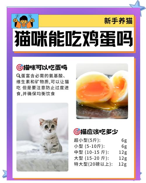 猫能吃鸡蛋羹吗