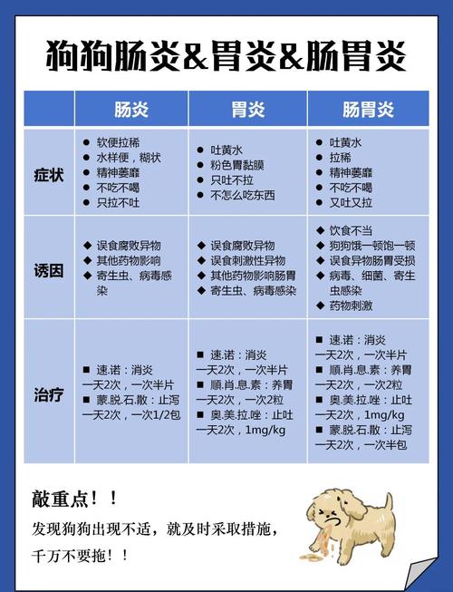 狗狗肠胃炎有什么症状