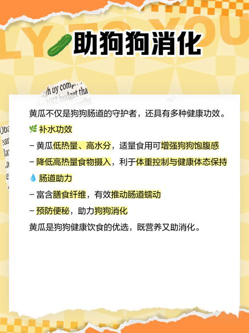 狗吃黄瓜的5大忌