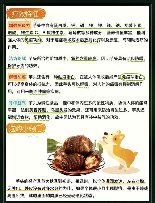 为什么狗狗不能吃芋头