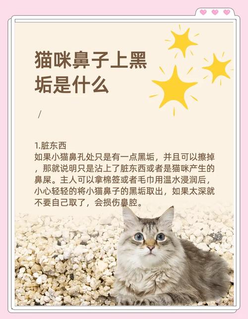 猫咪鼻子为什么会黑