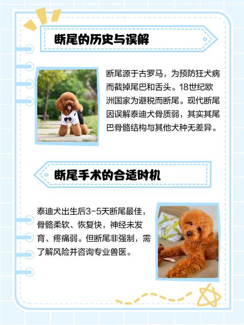 为什么要剪掉狗尾巴