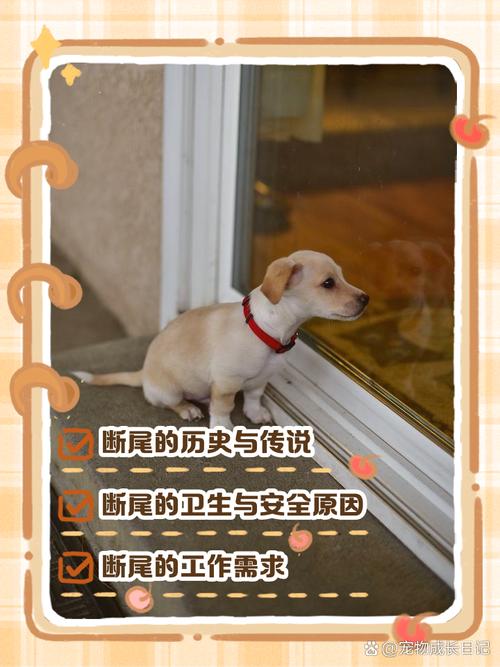 雪纳瑞剪尾巴有什么用为什么要剪