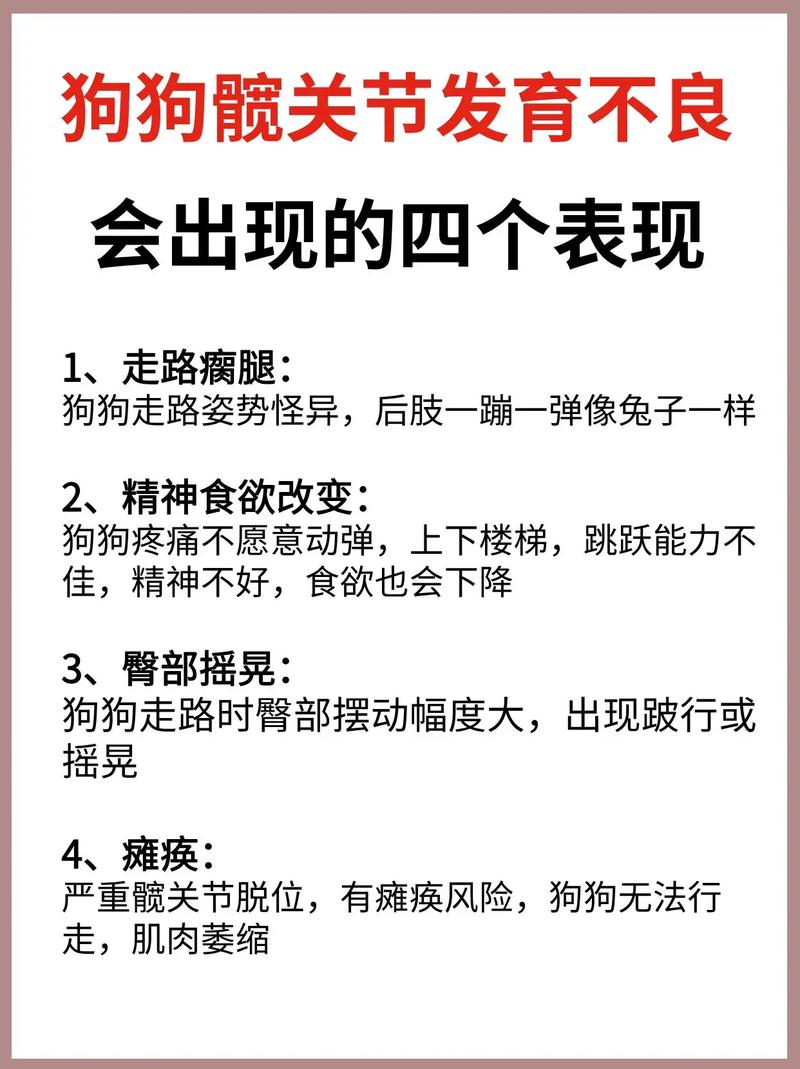 狗狗患有髋关节发育不良的症状