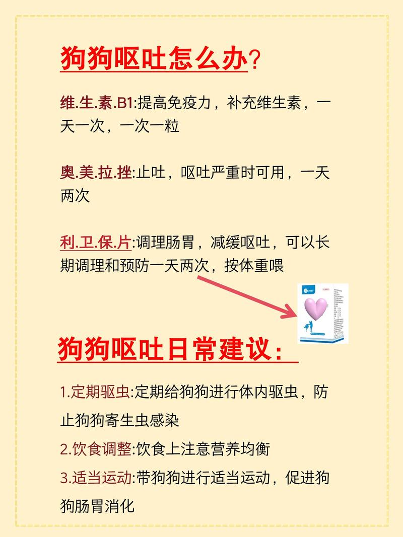 你好。狗狗现在老吐可不可以给它喂粥或喝水之类的呢。谢谢?