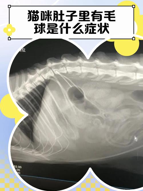 猫毛球症怎么治疗