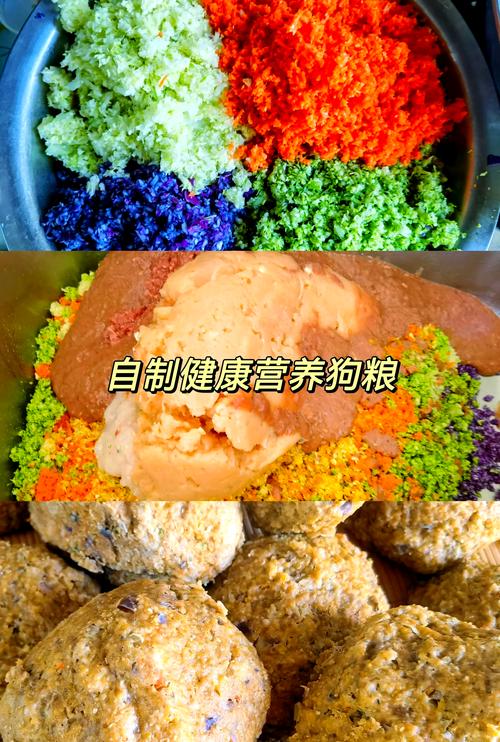 小狗多大可以吃狗粮?晚吃有危害