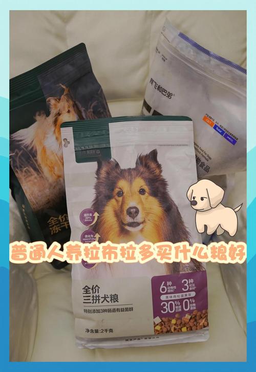 狗狗多大可以吃干狗粮