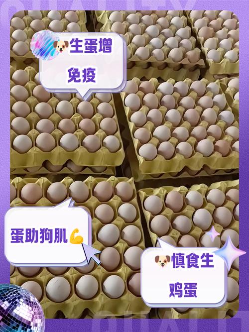 狗狗产后吃鸡蛋好吗?