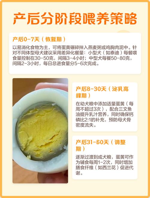 狗狗产后吃鸡蛋好吗