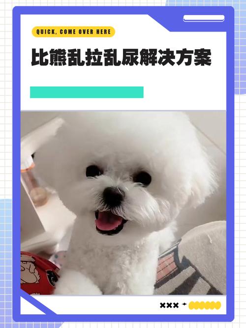 怎样阻止狗狗在家乱拉屎?