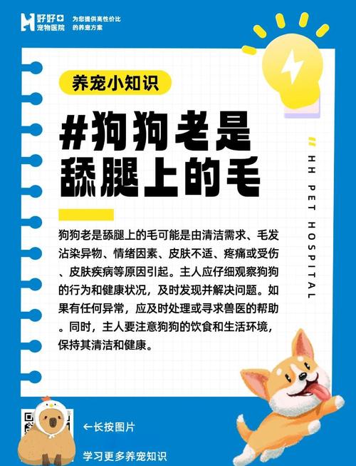 狗狗吃狗毛是怎么回事?