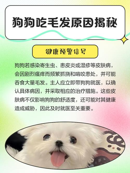 狗狗为什么要吃狗毛