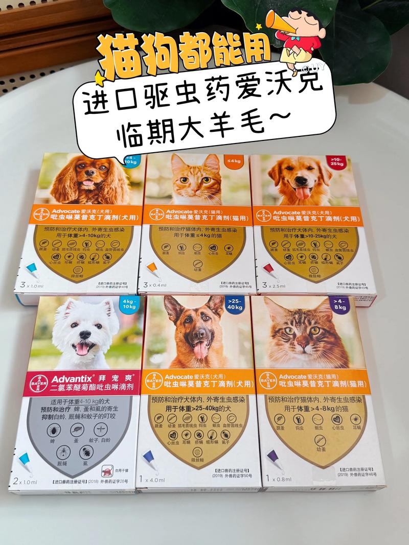 幼猫驱虫用什么药比较好啊