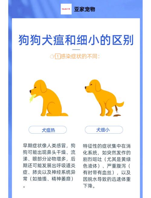 狗狗细小传染人吗