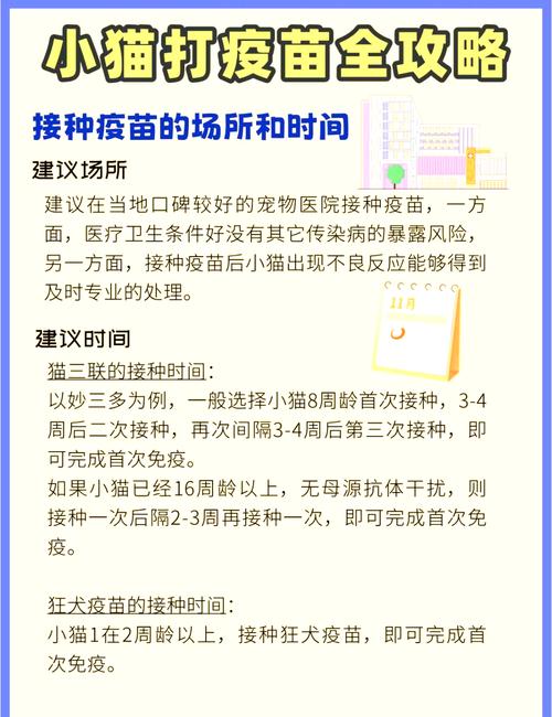 小猫要打什么疫苗可以自己打吗