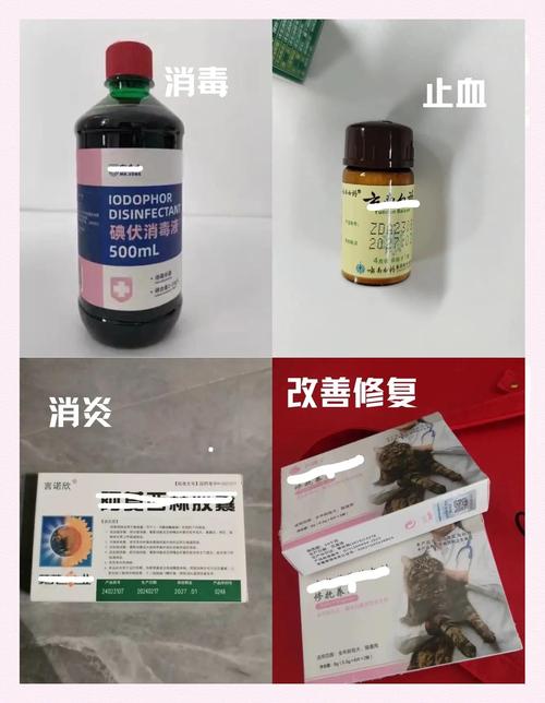 狗尿血吃什么药