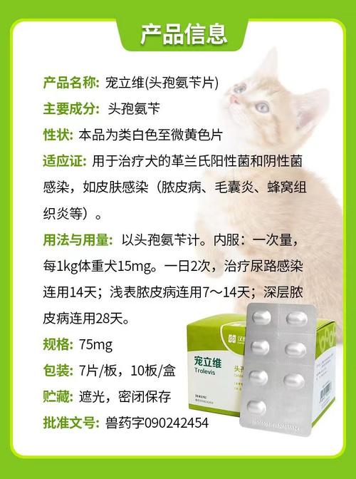 狗狗尿路感染吃什么消炎药效果好?