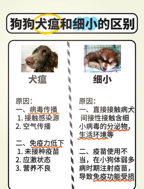 怎样预防和治疗狗细小病毒病