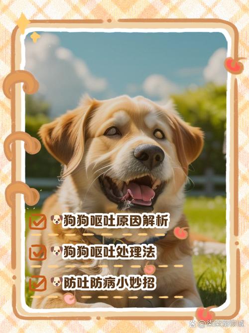 狗狗吃了狗粮全吐出来了,现在不吃东西,没精神。怎么办?