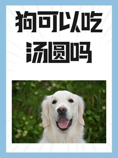 狗能喝酸梅汤吗