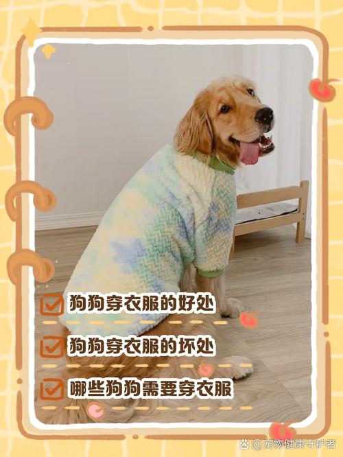 给狗狗穿衣服的利弊是什么?