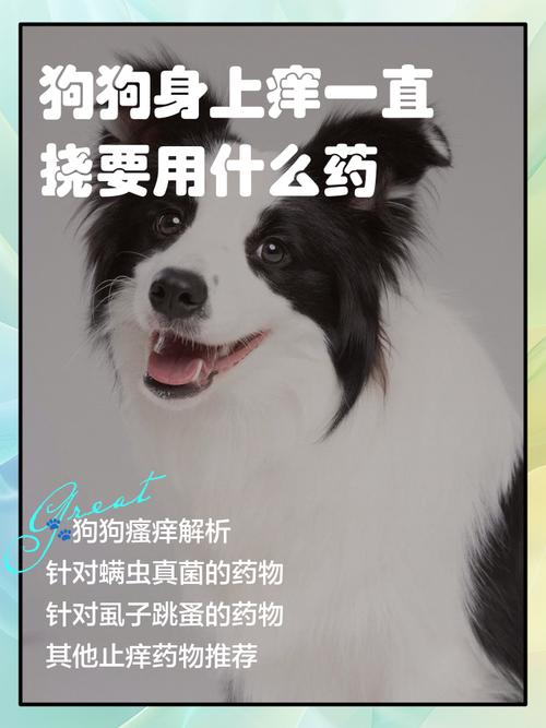 狗身上痒一直抓怎么办用什么药