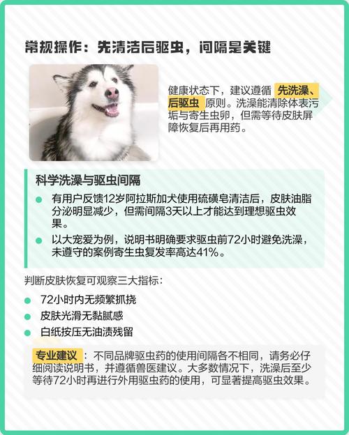 狗狗体外驱虫后多久可以洗澡