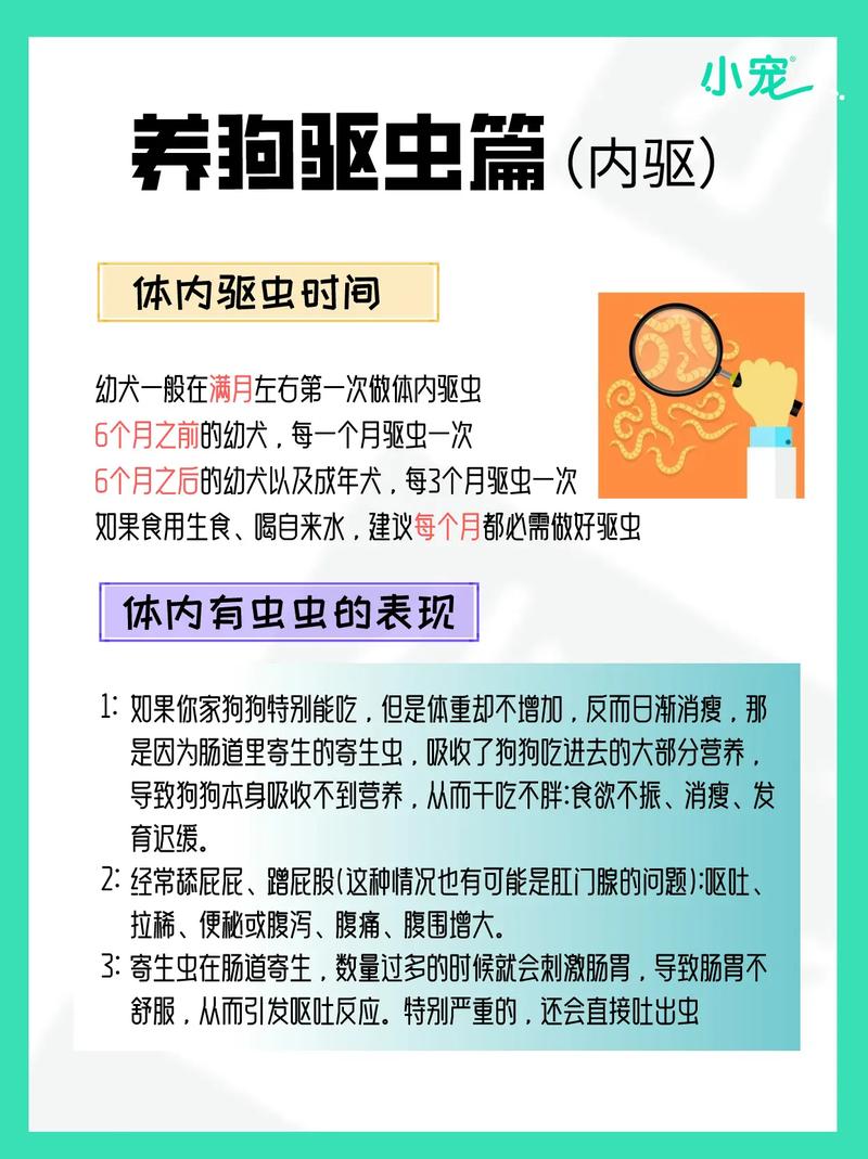 狗狗吃完驱虫药可以洗澡吗