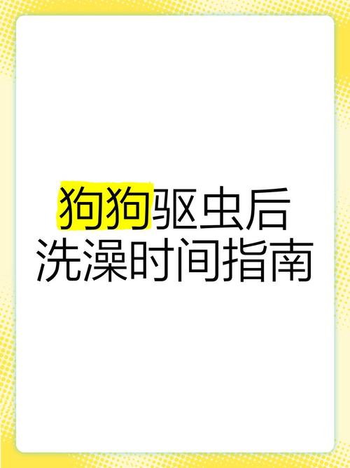 狗驱完虫可以洗澡吗