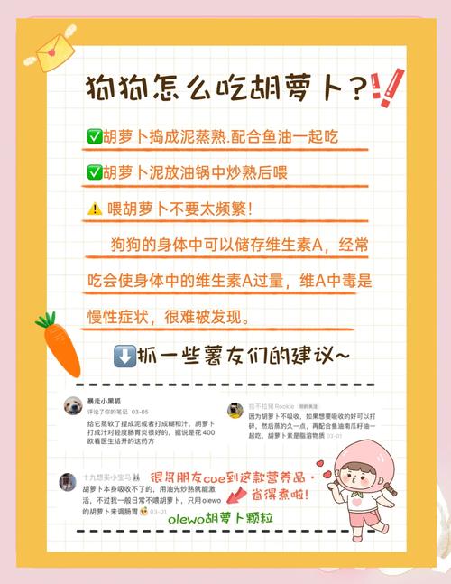 狗狗吃蔬菜要煮熟吗