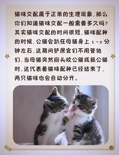 两只陌生猫配种要几天