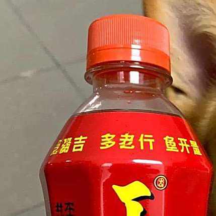 狗可以喝王老吉么?