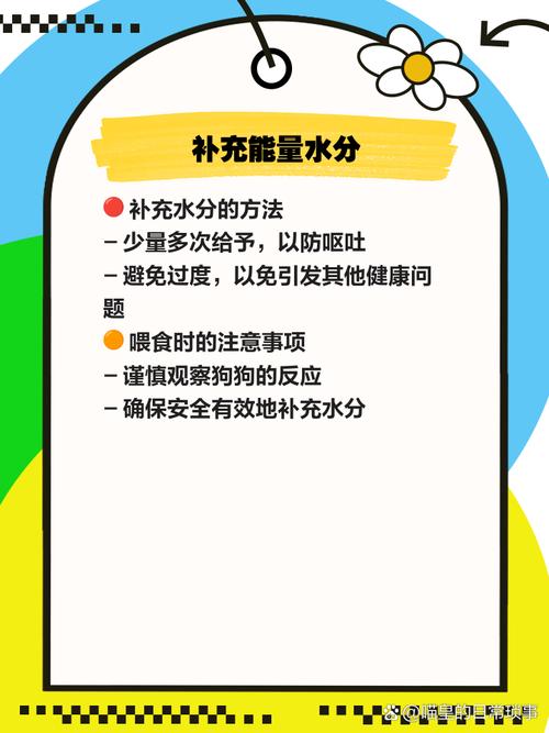 狗狗细小治疗方法(狗狗细小自己治疗方法)
