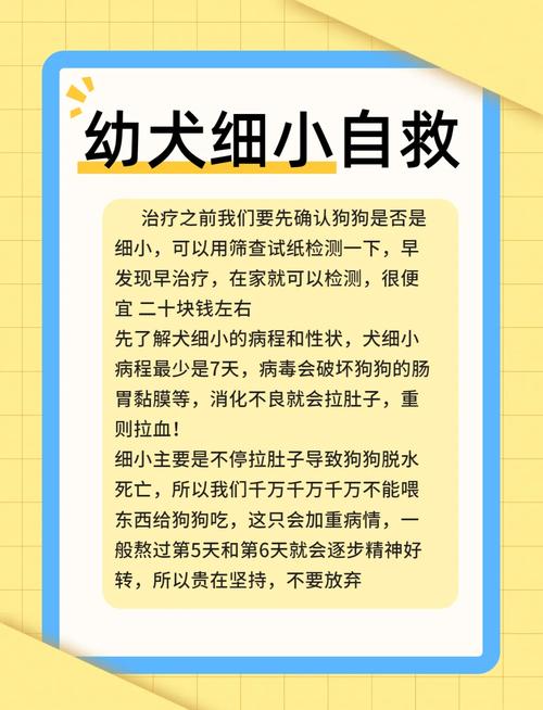 狗狗被查出细小,我自己该怎么帮它治疗
