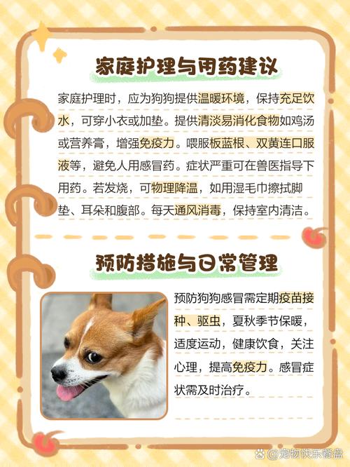 狗狗感冒咳嗽不吃东西怎么办