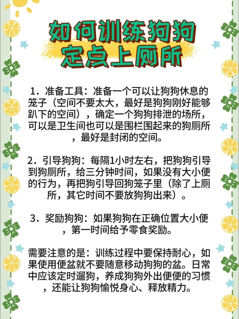 怎么教会狗狗自己上厕所?