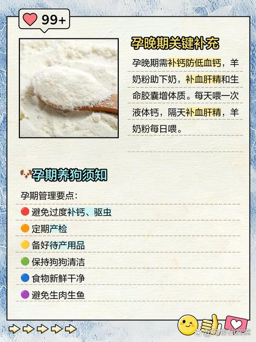 狗狗怀孕吃什么好?