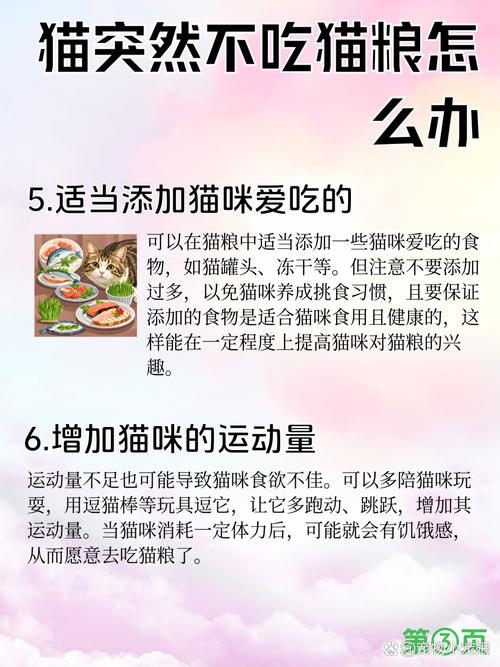 猫咪不爱吃猫粮怎么办
