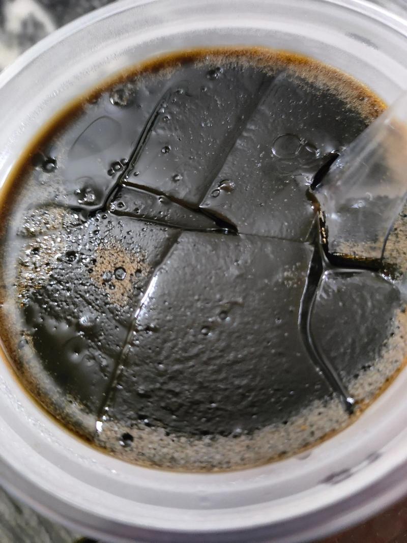 狗能不能吃龟苓膏