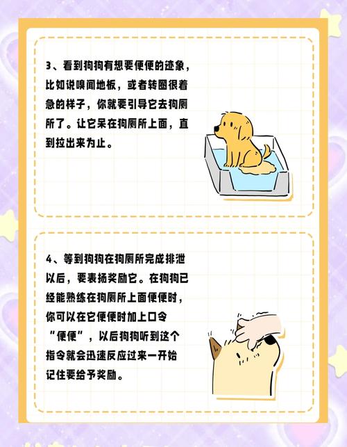 如何阻止狗狗乱大小便