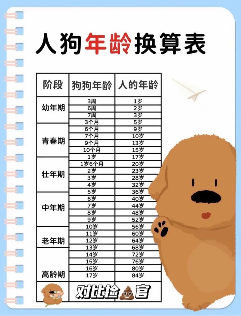 狗狗最新年龄换算表!狗狗1岁=人7岁,原来是错的,别信了