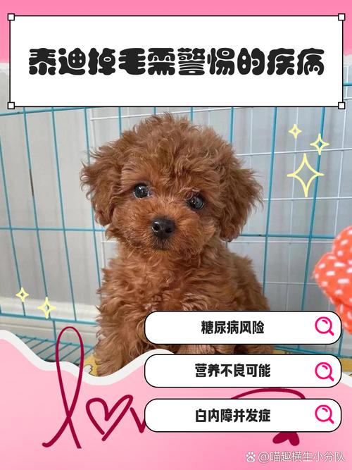 狗狗毛发稀少怎么办