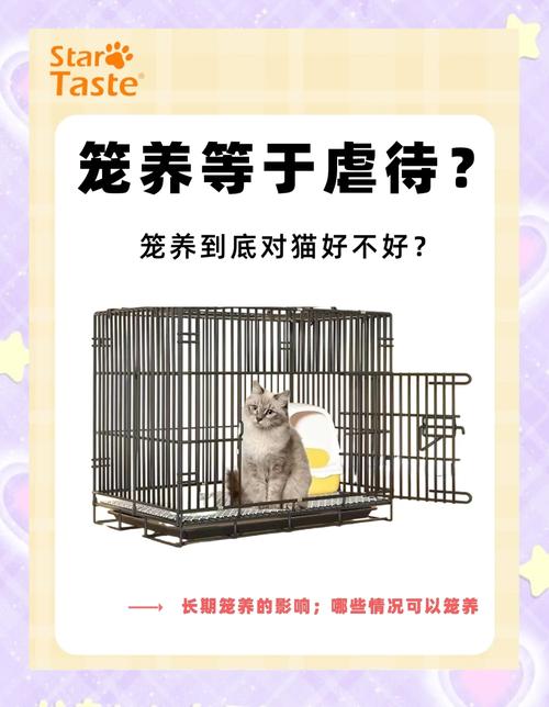 家里没人猫咪要不要放笼子里