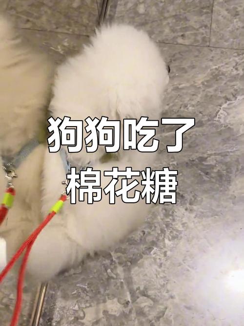 狗狗可以吃棉花糖吗